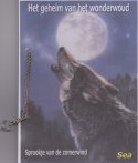 Merkaba sprookje